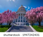 Pink magnolia and red bud flowers blooming beside stairs leading to north side of domed Missouri state capitol building in Jefferson City with blue sky.