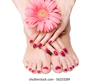 Pink Manicure And Pedicure With Delicate Flower