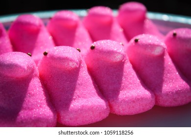 Pink Marshmallow Chickc