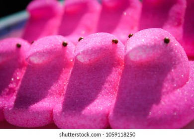 Pink Marshmallow Chicks Side