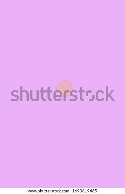 Pink medical\
pill with dividing notch isolated on a pink background. Flat lay.\
Copy space. Medical pill\
concept.