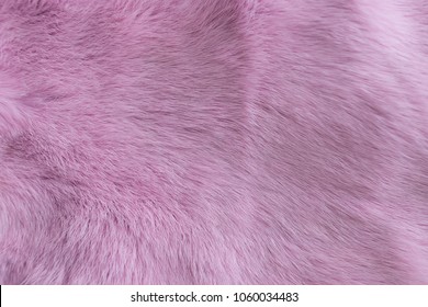 Featured image of post High Resolution Pink Fur Wallpaper