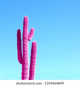 Pink Neon Cactus On A Blue Gradient Background. Minimal Fashion Design Concept.