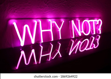 Pink neon sign why not?. Trendy style. Neon sign. Custom neon. Home decor.