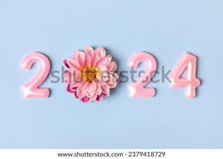 Pink numbers and pink dahlia flowers on a blue background. 2024 new year idea concept. Simple and clean design Happy New Year 2024 and Merry Christmas. Flat lay