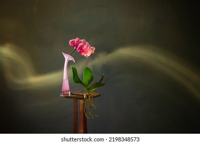 Pink Orchid On Vintage Wooden Shelf With Raindrops   On Dark  Background