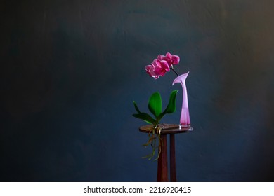 Pink Orchid On Vintage Wooden Shelf With Raindrops   On Dark  Background