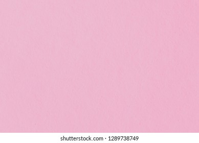 seamless paper backdrop bright pink