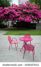 Pink Patio Furniture In Plaza With Flowering Tree