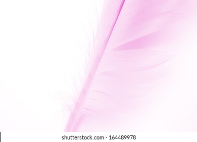 105,440 White Feather Pink Background Images, Stock Photos & Vectors