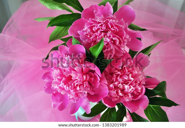 Pink Peonies Small Vases Wedding Decorations Stock Photo Edit Now