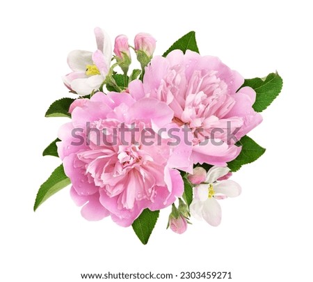 Pink peony and apple flowers and leaves in a floral arrangement isolated on white