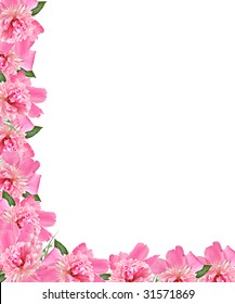 89,545 Flower Page Border Images, Stock Photos & Vectors | Shutterstock