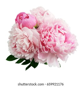 193,306 Peony isolated Images, Stock Photos & Vectors | Shutterstock