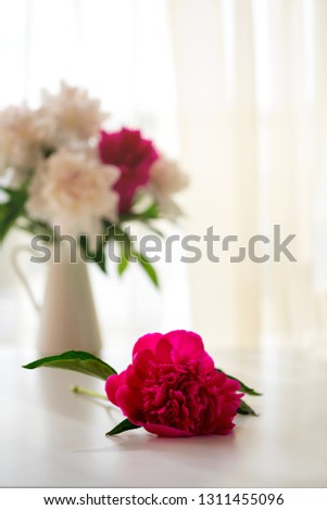 Pink peony flower on white table. Vertical, copy space