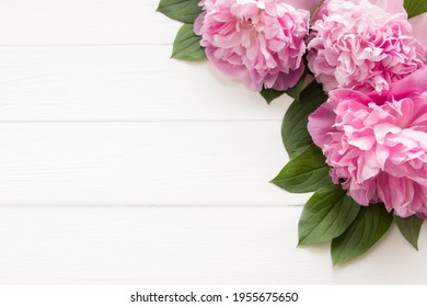Pink peony flowers  on white wooden background with copy space. Mother's day, 8 march, women's day or wedding concept. Spring flowers background