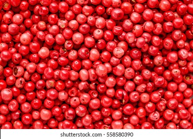 Pink Peppercorn 