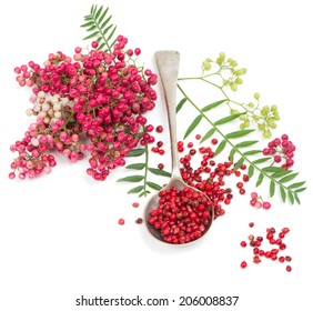  Pink Peppercorns In A Spoon And Twigs Of Peruvian Pepper Tree Isolated On White Background 