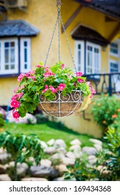 Pink Petunia Flower Hanging Basket