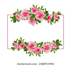 Pink petunia flowers and a frame in a floral border isolated on white background