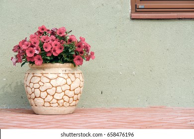 Petunya Gorsel Stok Fotograf Ve Vektorleri Shutterstock