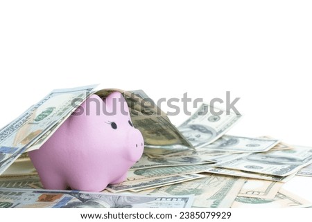 Pink piggy bank, dollars on a white background. savings concept, fundraising