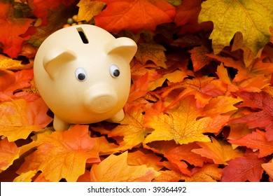 A Pink Piggy Bank  Sitting On A Fall Leaf Background, Savings