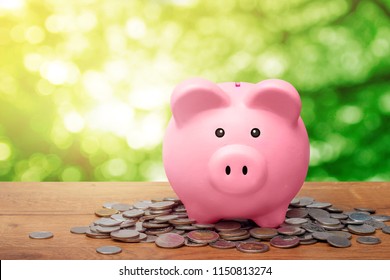Pink piggy bank standing over pile of coins on wooden table with bokeh natural green leaves background and sunlight.