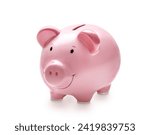 Pink pig,money box isolated on white.Cash savings.Financial concept,object. Invest.Business.