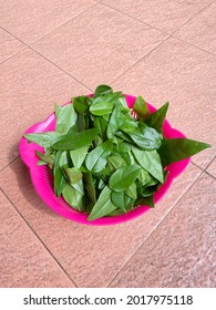 A Pink Plastic Bowl Containing Freshly Picked Grass Jelly Leaves, Over Orange Tile. 