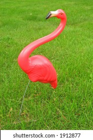 Pink Plastic Flamingo On Lawn