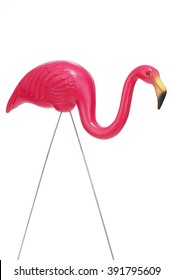 Pink plastic flamingo on white background