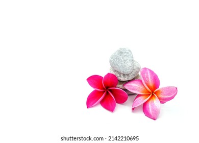 Pink Plumeria against small stone isolated on white background.