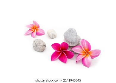 Pink plumeria against stacking stone on white background.