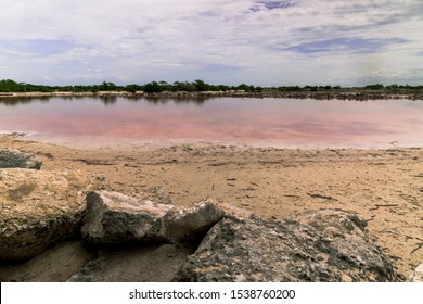 The Pink Ponds Of Xtampu Yucatan Allow The Proliferation Of Microorganisms Called Halobacteria. 