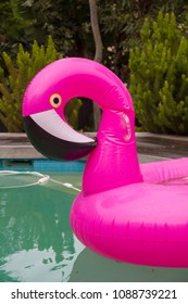 Pink Pool Flamingo In Pool On Rainy Day Half Deflated