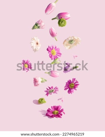 Pink and purple flowers on a pink background. Spring aesthetic nature monochromatic floating concept.