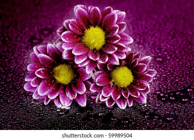 Pink Flower 4k Wallpapers Hd Wallpapers Stock Photo 1400622632 ...