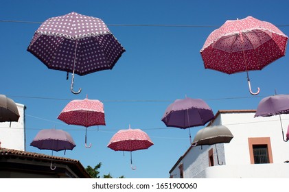 pink and purple umbrella