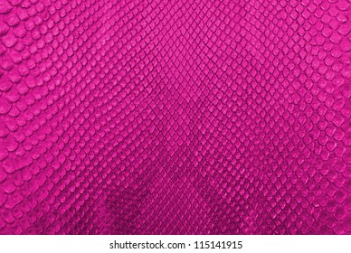 Pink Python Snake Skin Texture Background.