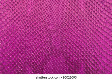 Pink Python Snake Skin Texture Background.