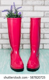 Pink Rain Boots With Spring Flowers