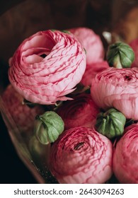 A lot of pink ranunculus
