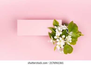 Pink Rectangle Blank Card For Text Mockup With White Apple Tree Flowers, Green Leaves Fly On Pastel Pink Background. Wedding Floral Background For Advertising, Branding Identity, Greeting Card, Flyer.