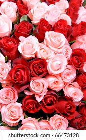 Pink Red Roses Images Stock Photos Vectors Shutterstock<script async src=