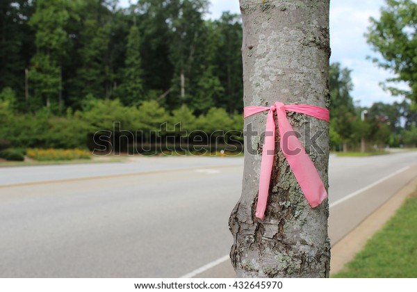 Pink\
ribbon on tree, street background, road\
background
