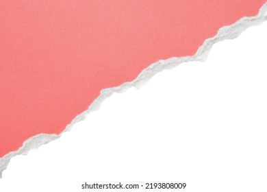 Pink Ripped Paper Torn Edges Strips Isolated On White Background