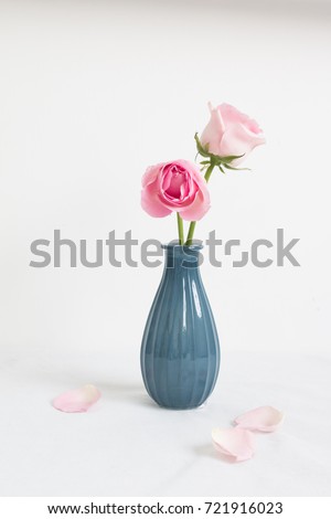 Pink rose in blue vase and petals fall in the floor