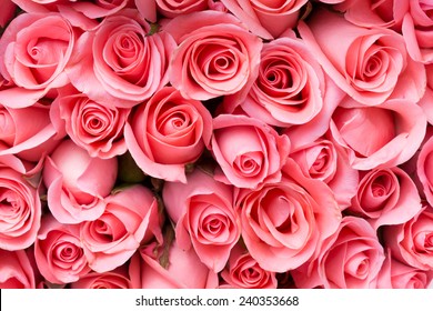 Pink Rose Flower Bouquet Background