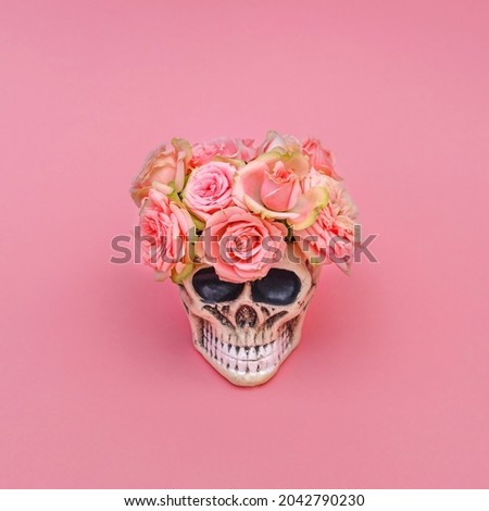 Pink rose flower in decorative Skull Planter on pink background. Human Skull Head Design Flowers Pot with beautiful Rose blossoms. Halloween skull head with flowers. Día de los Muertos card
